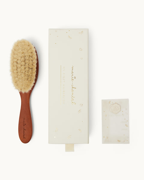 Aristidis_Hairbrush_with_Crest