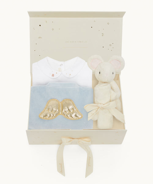 Baby Boy Gingerbread and Angel Wing Gift Set - Blue