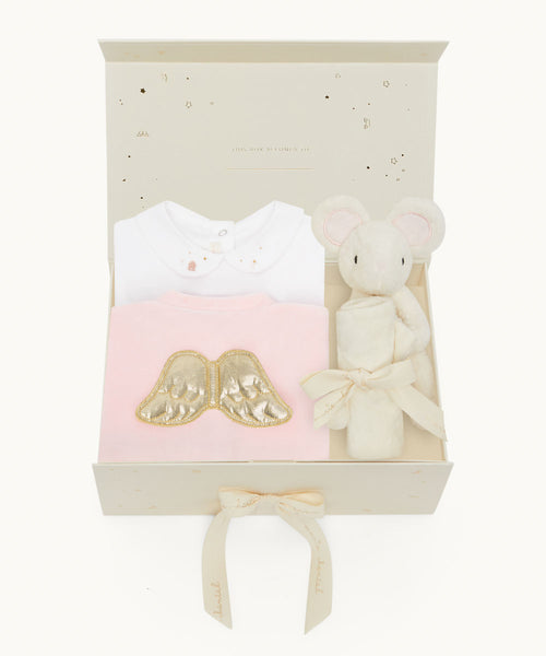 Baby Girl Gingerbread and Angel Wing Gift Set - Pink