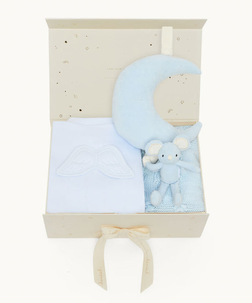 Summer Sleeptime Baby Boy Gift Set - Blue